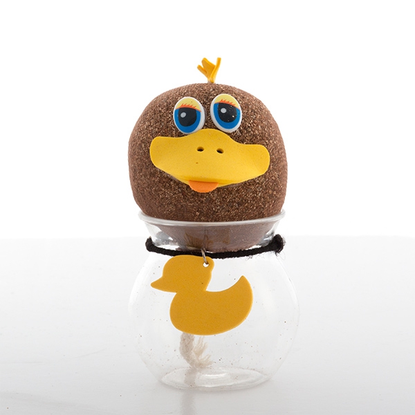 Animal de companie cu cap de iarbă