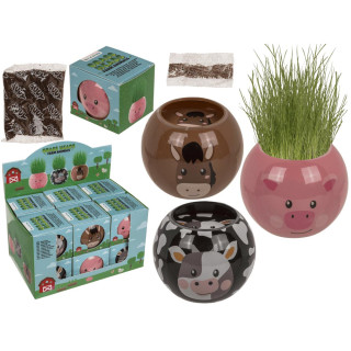 Grow-a-head – Animal de fermă