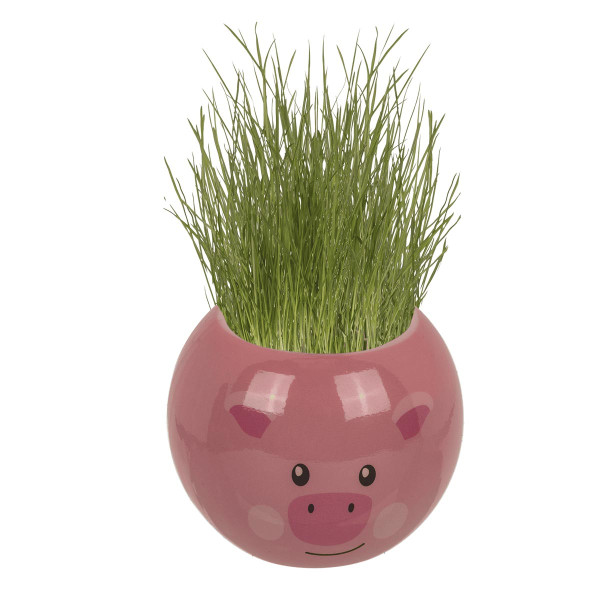 Grow-a-head – Animal de fermă