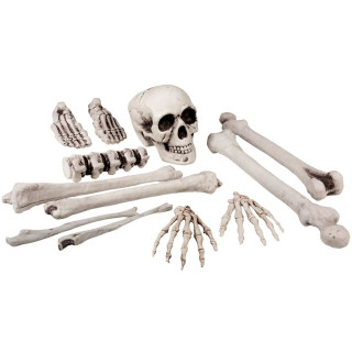 Set craniu și oase 12 piese (40cm)