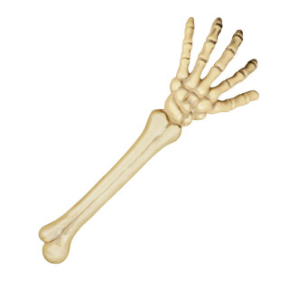 Mână de schelet (46cm)