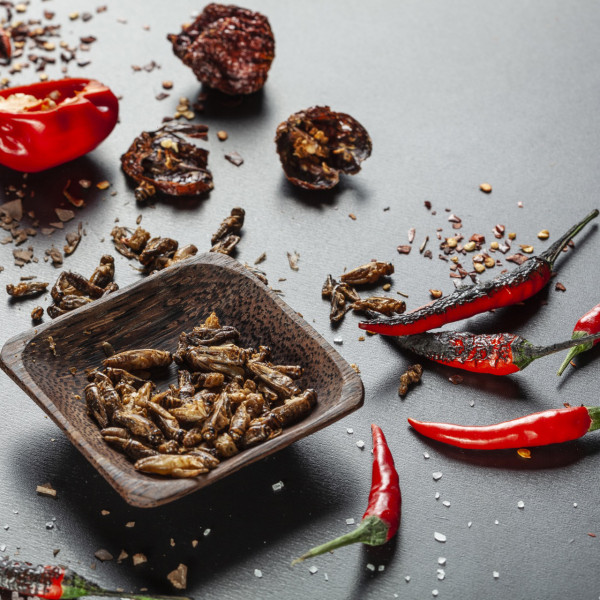 Greieri prăjiți crocanți extra picanți „Carolina Reaper” Greieri prăjiți crocanți extra picanți „Carolina Reaper”