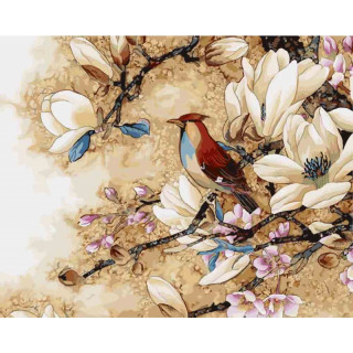 Pictură după numere Set "Canaries" (40x50cm)