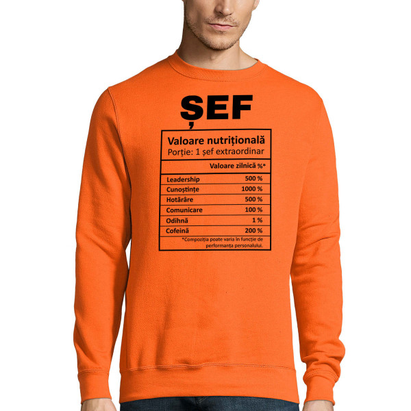 Bluză "Compoziția șefului"