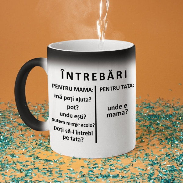 Cană "Întrebări pentru tata"
