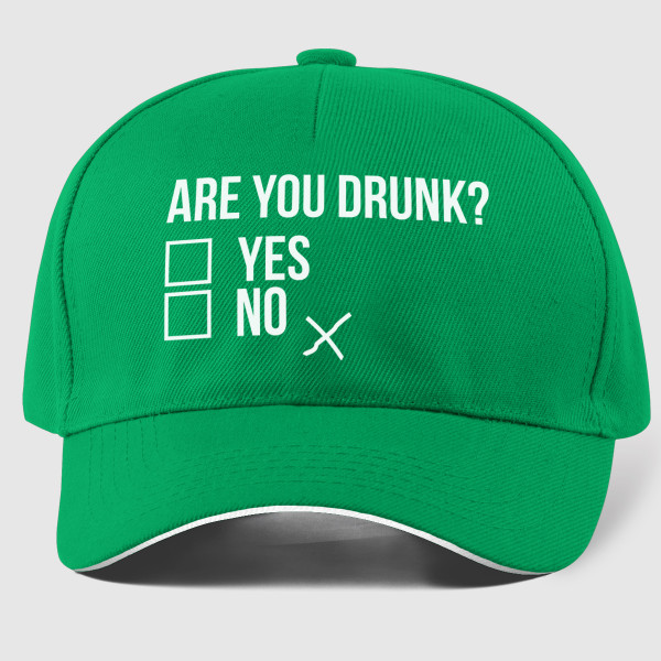 Șapcă "Are you drunk?"