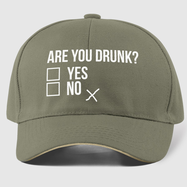 Șapcă "Are you drunk?"