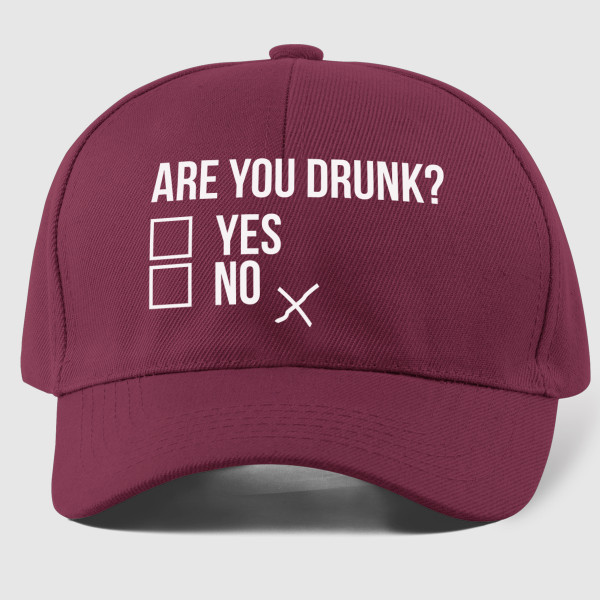 Șapcă "Are you drunk?"
