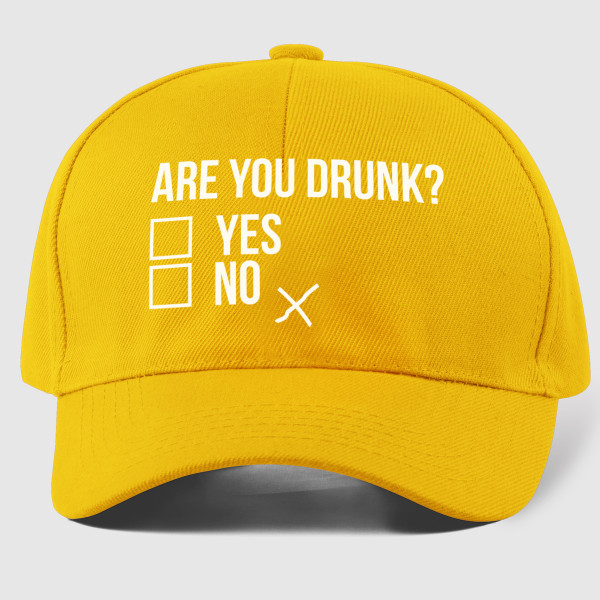 Șapcă "Are you drunk?"