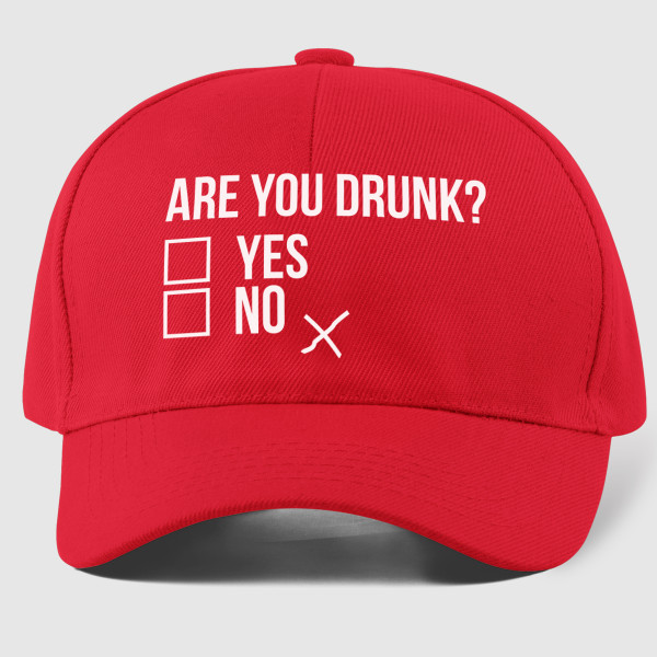 Șapcă "Are you drunk?"