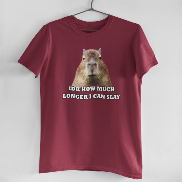 Tricou "Idk how much longer"