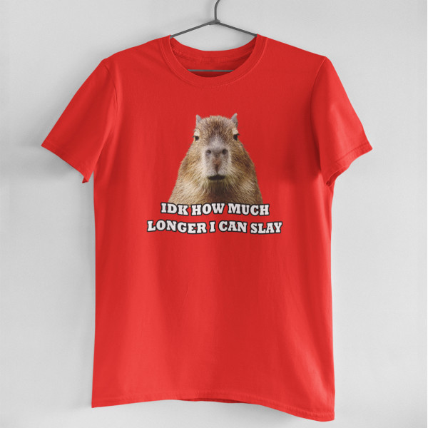 Tricou "Idk how much longer"