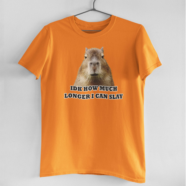 Tricou "Idk how much longer"