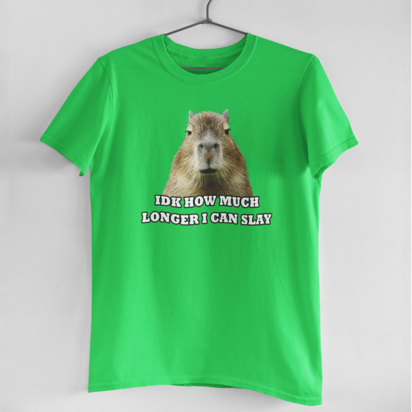 Tricou "Idk how much longer"