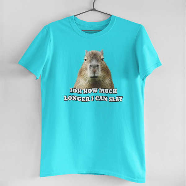 Tricou "Idk how much longer"