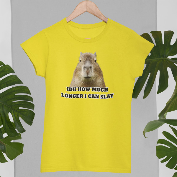 Tricou pentru femei "Idk how much longer"