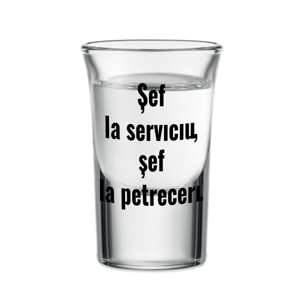 Pahar de shot "Eu sunt la conducere la petreceri", 30ml