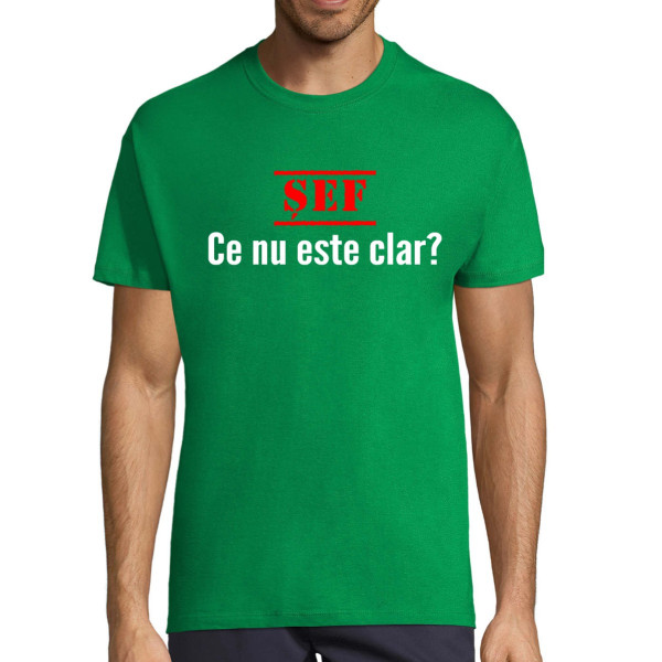 Tricou "Ce nu este clar"