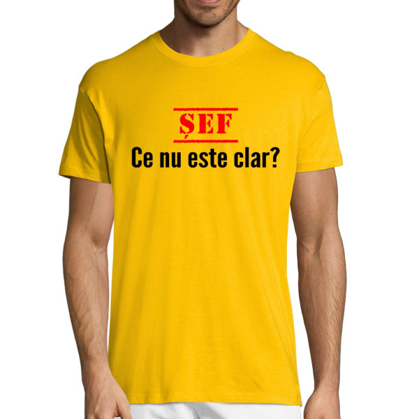 Tricou "Ce nu este clar"