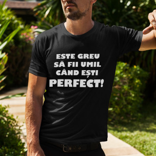 Tricou  "Dl. perfecțiune"