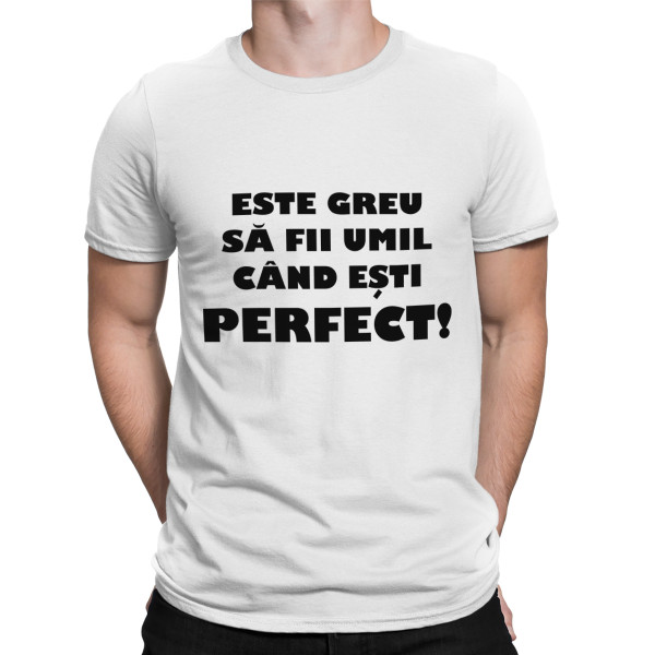 Tricou  "Dl. perfecțiune"