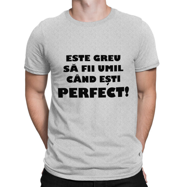 Tricou  "Dl. perfecțiune"