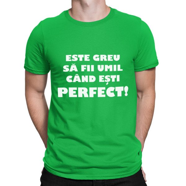 Tricou  "Dl. perfecțiune"