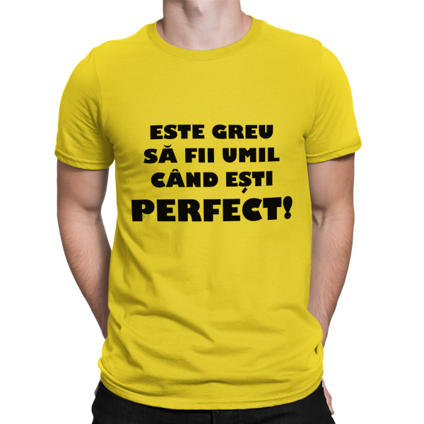 Tricou  "Dl. perfecțiune"
