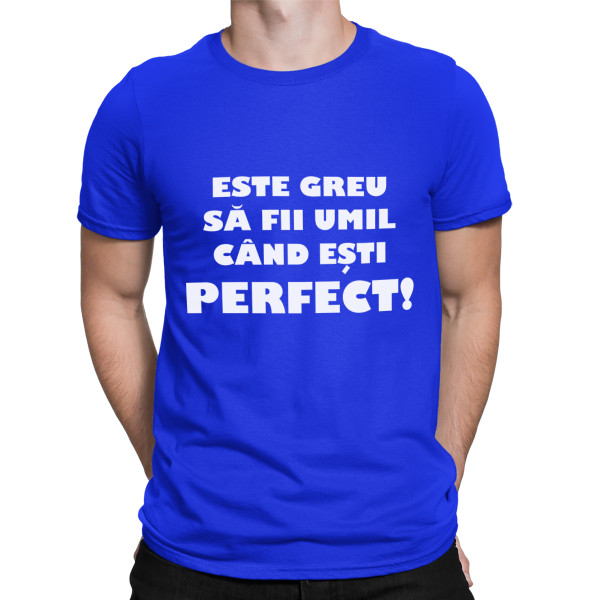 Tricou  "Dl. perfecțiune"