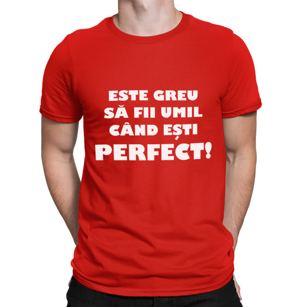 Tricou  "Dl. perfecțiune"
