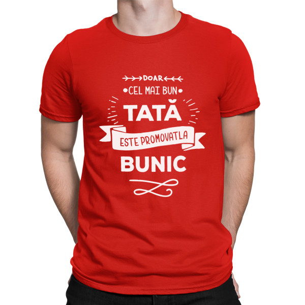 Tricou  "Numai cel mai bun tată este promovat la bunic "