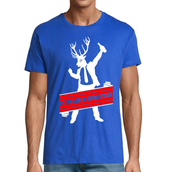 Tricou  "Petrecerea burlacilor"