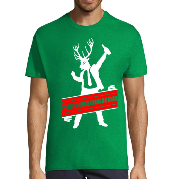 Tricou  "Petrecerea burlacilor"