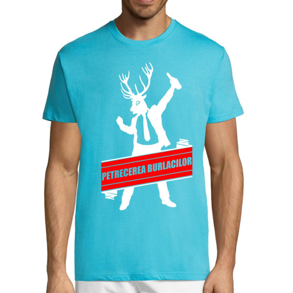 Tricou  "Petrecerea burlacilor"