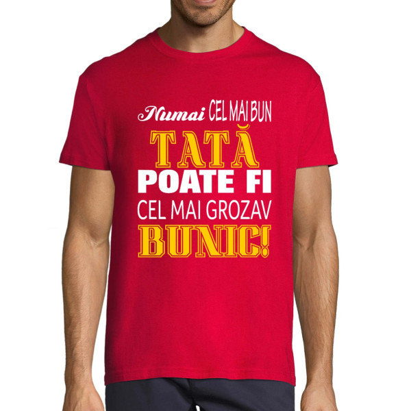 Tricou  "Tată bun - bunic minunat"