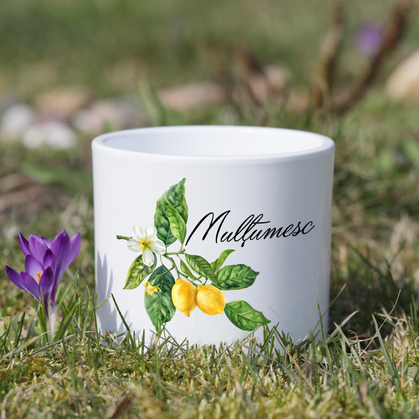 Vas ceramic "Mulțumesc"