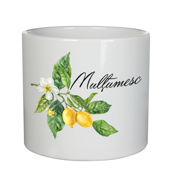 Vas ceramic "Mulțumesc"